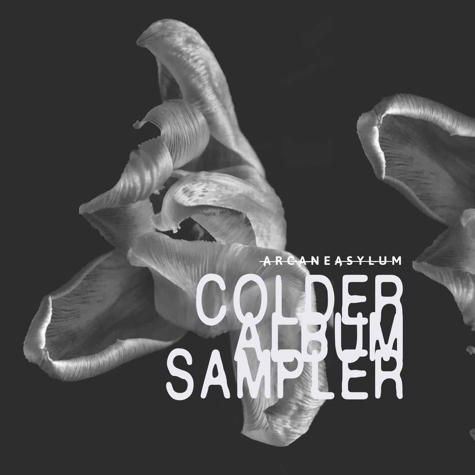 A Four-Track Sampler from Arcane Asylum Is Here